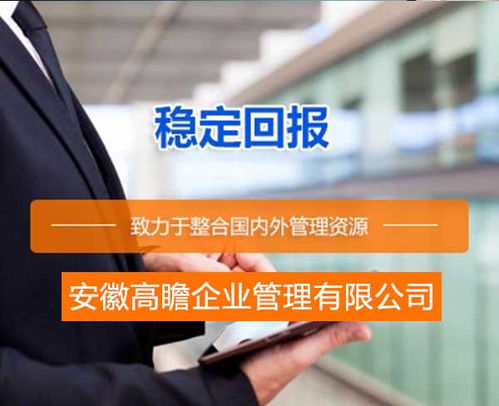 償債能力評級報(bào)告價(jià)格 償債能力評級報(bào)告 安徽高瞻公司 圖