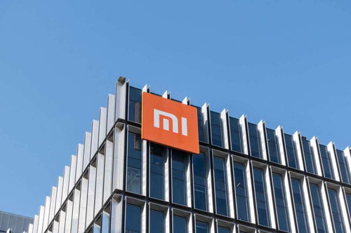 完善造車版圖,小米投資富特科技